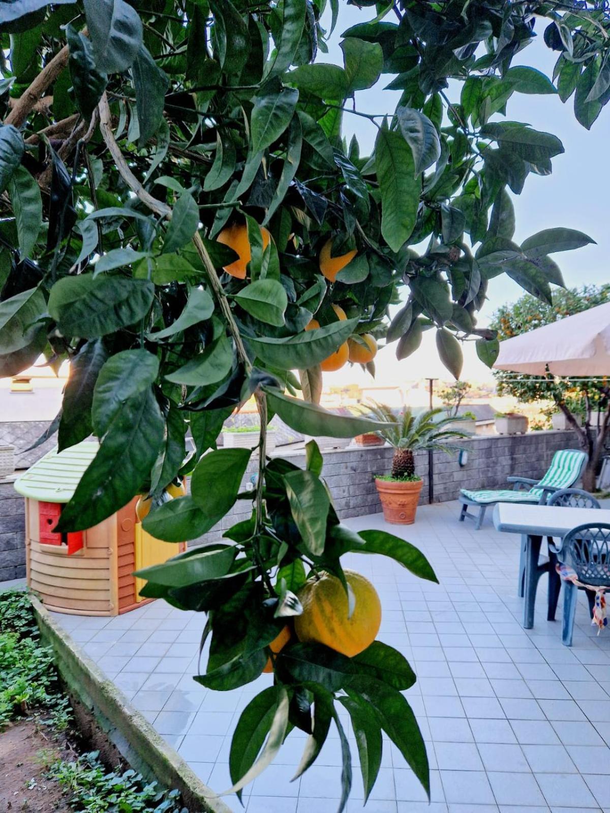 Fuga A Napoli Apartment מראה חיצוני תמונה